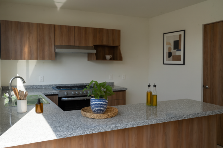 Venta Casas Meseta Hábitat Querétaro Saint Marie Inmobiliaria 10 COCINA