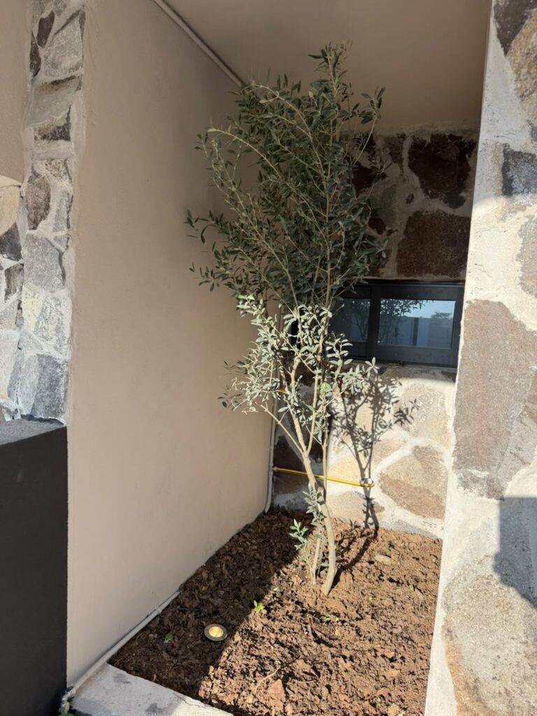 casa-modelo-94-95-coto-paris-capital-sur-el-marques-queretaro-09
