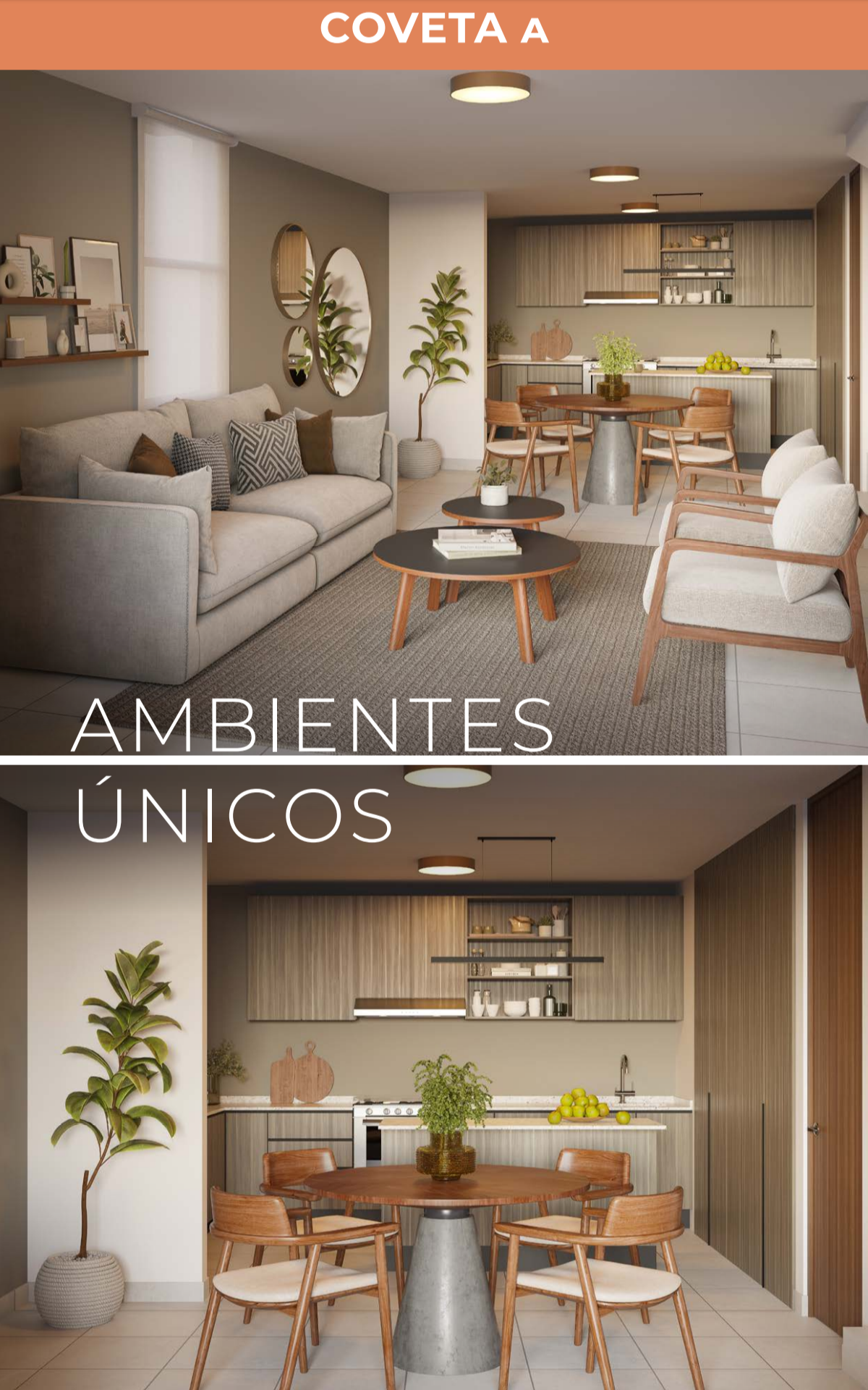 Ambientes del Living Unit Coveta A