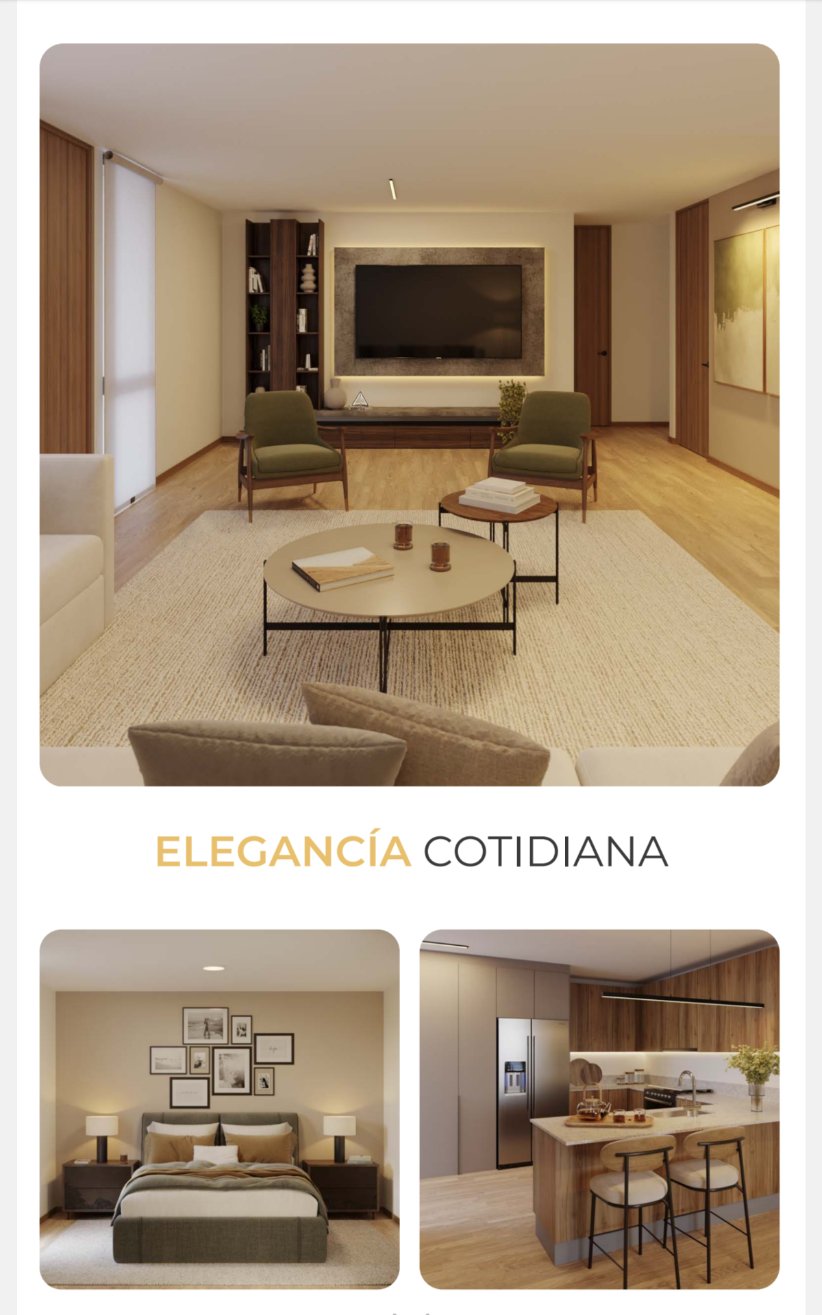 Flyer del Modelo D95 N1 en Nuva, Zibatá