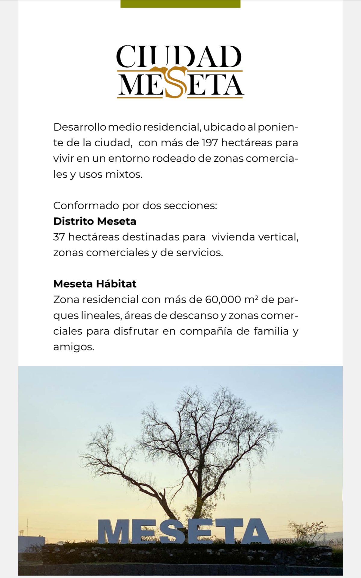 Ciudad Meseta